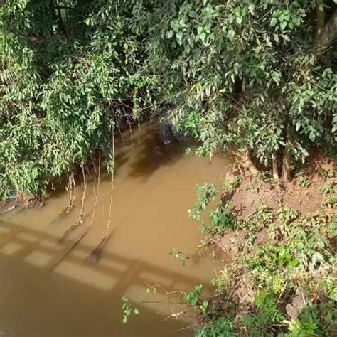 Corpo De Homem Encontrado Boiando Em Riacho No Interior Do Estado