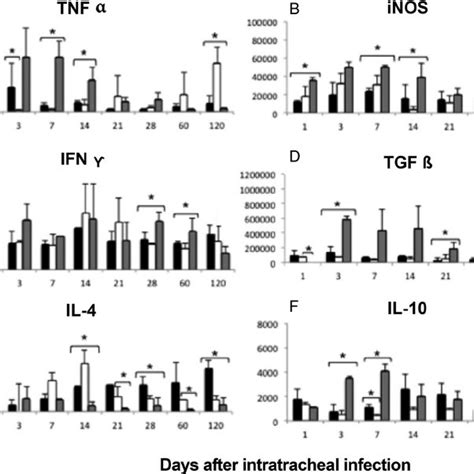 Kinetics Of Cytokines And Inos Gene Expression In Mice Infected In The Download Scientific