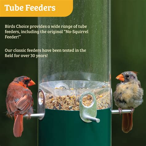 Birds Choice Squirrel Proof Classic Bird Feeder With Pole And Squirrel