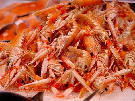 Fresh Langoustine Marrfish Wholesale Fish And Seafood Delivery