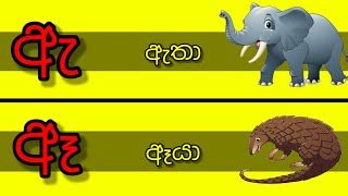 sinhala Hodiya | sinhala alphabet | සිංහල හෝඩිය | Doovi