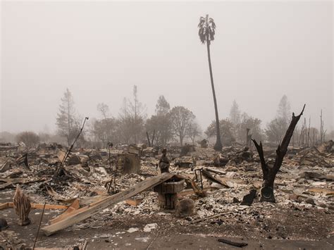 A Fire-Devastated Northern California Takes Care of Its Own | The New ...