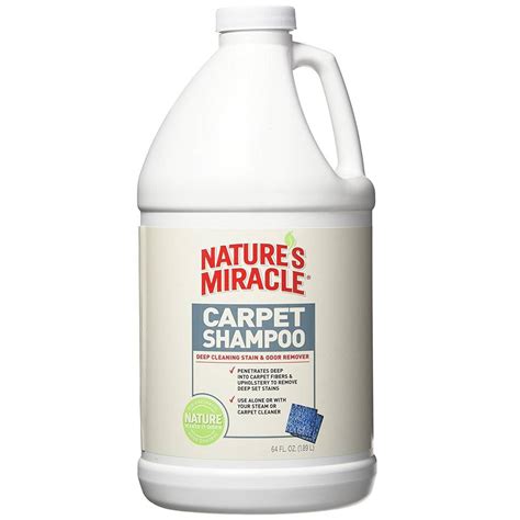 9 Best Carpet Cleaner Shampoos - (Reviews & Buying Guide 2019)