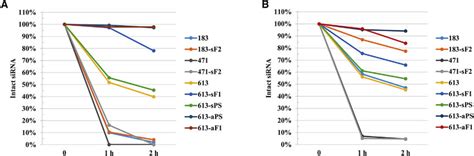 Stability of Selected siRNA Variants (A and B) Integrity of siRNA was ... 