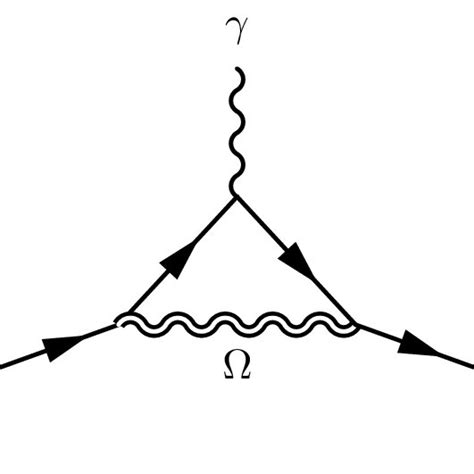 One Loop Feynman Diagrams That Would Contribute To The Muon G