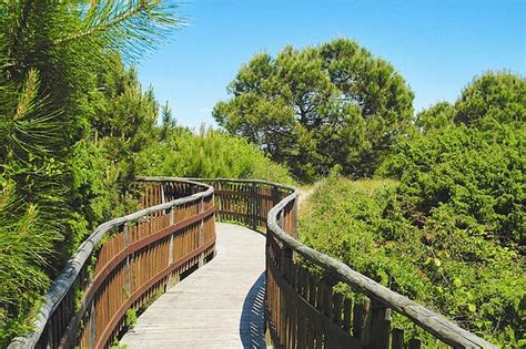 Il Giardino Botanico Di Porto Caleri SharryLand La Mappa Delle