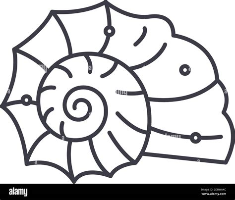 Spiral Shell Icon Linear Isolated Illustration Thin Line Vector Web