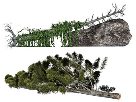 Fallen Trees 01 Png Stock By Roy3d On Deviantart