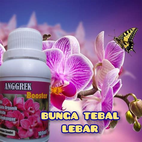 Jual Pupuk Anggrek Booster Perangsang Nutrisi Pelebat Akar Dan Tunas