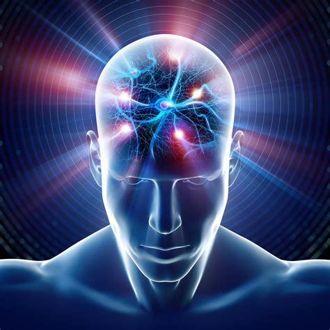 The Transcendent Brain Spirituality In The Age Of Science 13