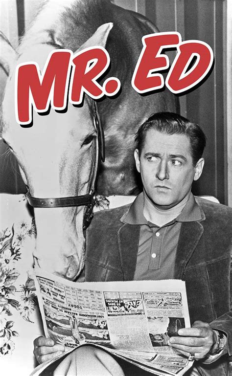 Mister Ed Tv Series 19581966 Imdb