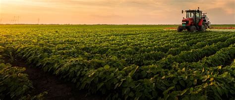 Agricultura Intensiva