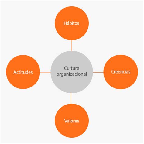 Cultura organizacional: tipos y características