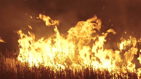 Night Grasses Burning In The Fields Stock Footage Videohive