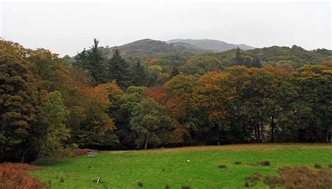 Beddgelert Forest by AlberichPotter on DeviantArt