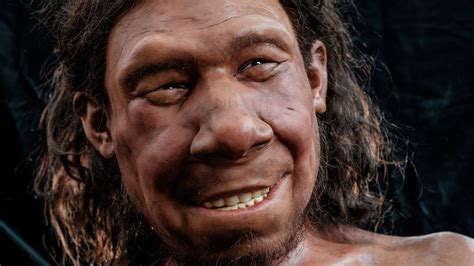 Lumpy tumor shown on facial reconstruction of Neanderthal who lived on ...