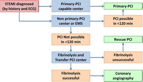 Updates To The Accf Aha And Esc Stemi And Nstemi Guidelines Putting