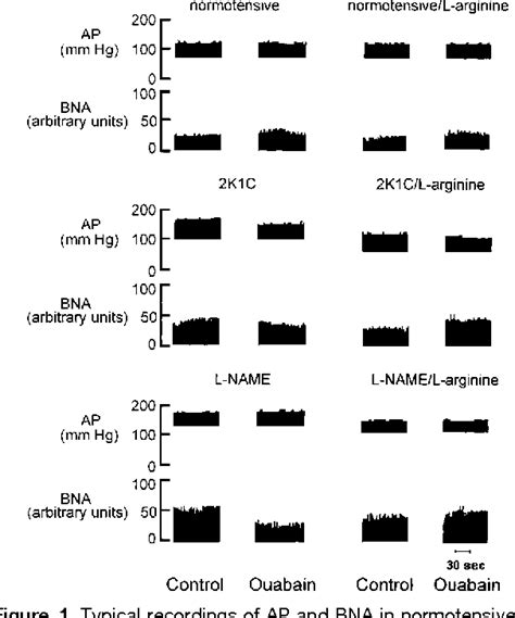 Figure 1 From L Arginine Restores The Effect Of Ouabain On Baroreceptor