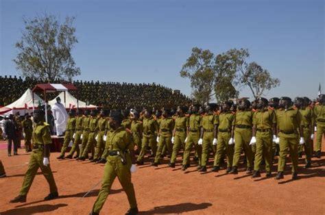 Recruitment Ndlea Invites Candidates For Screening Interview