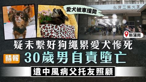 珍惜生命｜疑未繫好狗繩累愛犬慘死 30歲男自責新蒲崗工廈墮亡 遺行動不便病父托友照顧 晴報 家庭 家居 D240105