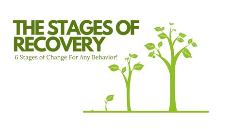 Smart Recovery Stages Of Change