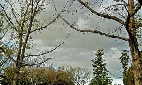 sky clouds overcast  photo  pixabay