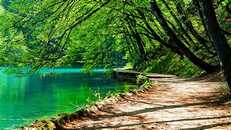 Hd Wallpaper Water Nature Emerald Green Path National Park Tree Croatia Wallpaper Flare