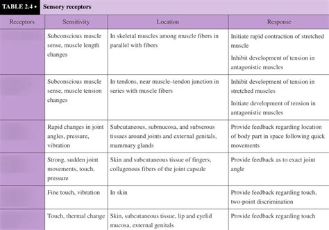 Sensory Receptors Diagram | Quizlet