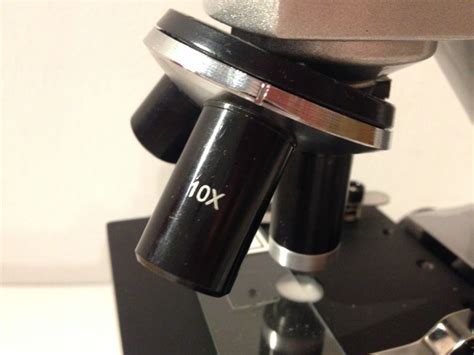 Aufbau Eines Lichtmikroskops Light Microscope