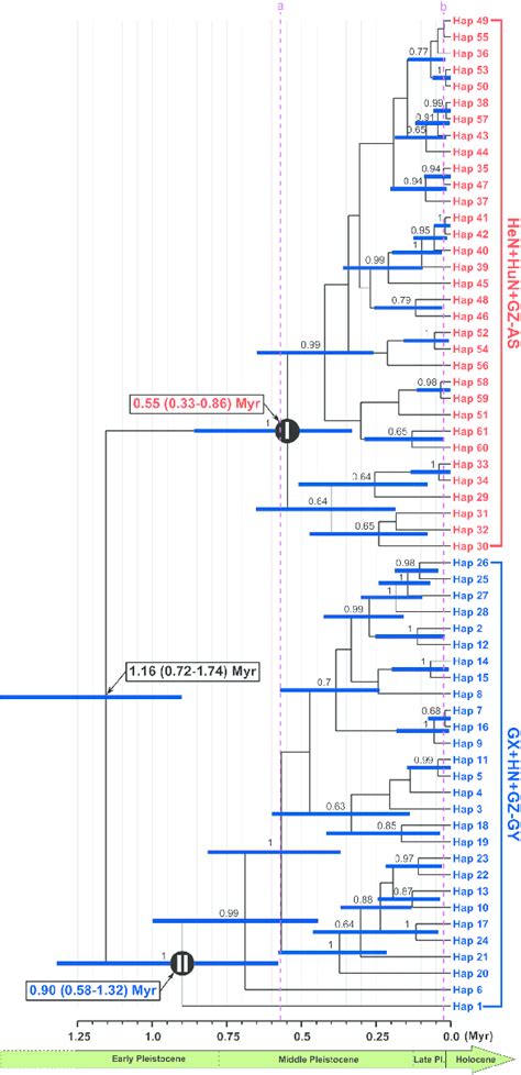 Phylogram Of Spirometra Erinaceieuropaei Isolates From Central And