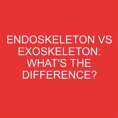 Endoskeleton Vs Exoskeleton: What's The Difference? » Differencess