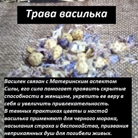Время магии: Травы ручного сбора Магические и энергетические ...
