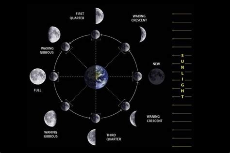 Foto Fase Bulan Mengenal Perubahan Penampakan Bulan Dari Waktu Ke Waktu