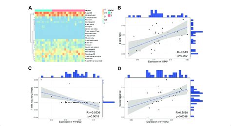 Evaluation Of Immunocyte Infiltration Levels Using Cibersort A