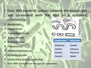 An Overview Of Gut Microbiota Ppt