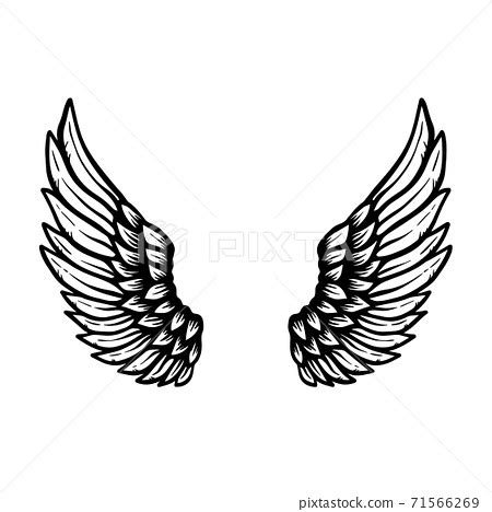 Drawings Of Eagle Wings