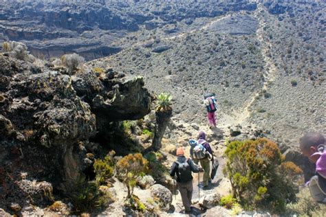 ASCENSIÓN AL KILIMANJARO POR LA RUTA MACHAME Sikia Africa