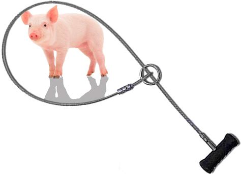 Pig Catcher Snare Veterinary Equipment Grip Handle Pig Holder Hog Snare