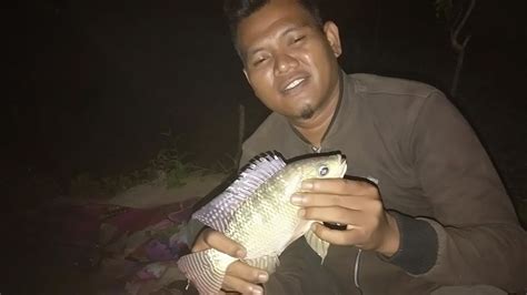 Mancing Ikan Nila Malam Hari Strek Mantaap Youtube