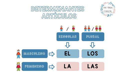 Cuaderno Determinantes ArtÍculos Una Mirada Especial