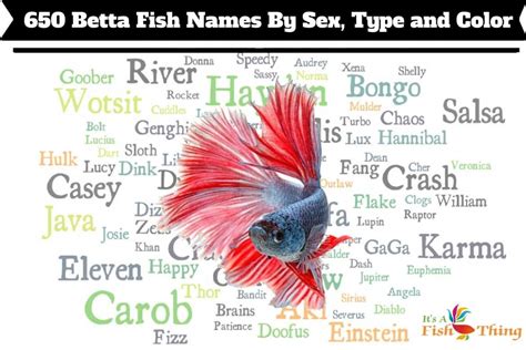 Chinese Pet Fish Names At Alfred Wilson Blog