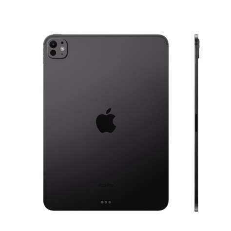 Ipad Pro 11 M4 256gb Wi Fi Cellular Space Black Калининград G8ru