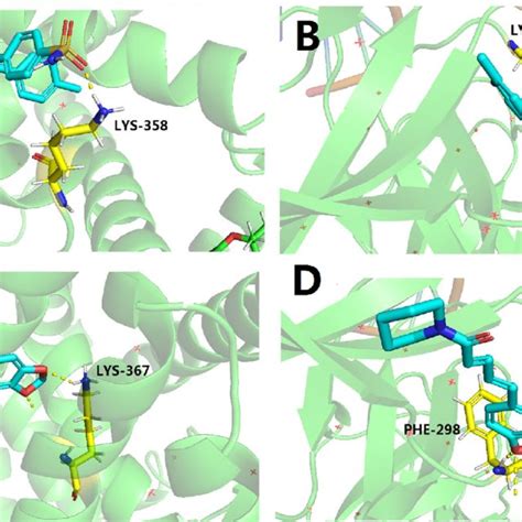 A The Site Binding Of Celecoxib And Pparg The Blue Is The 3d Structure