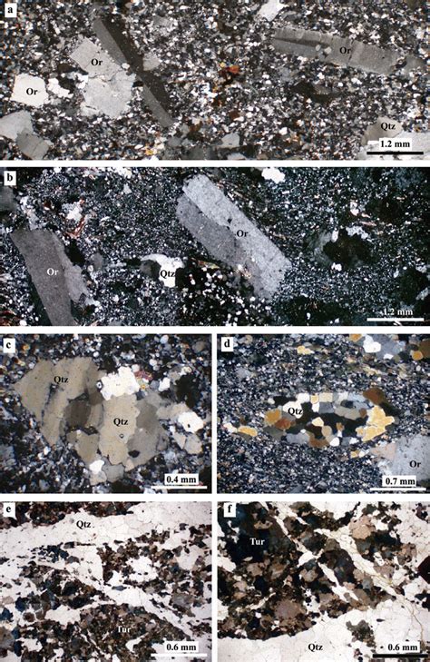 Photomicrographs Of Leucocratic Metagranite Porphyry And Tourmalinites Download Scientific