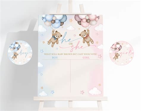 Teddy Bear Gender Reveal Voting Sign Pink Blue Bear Baby Etsy Australia