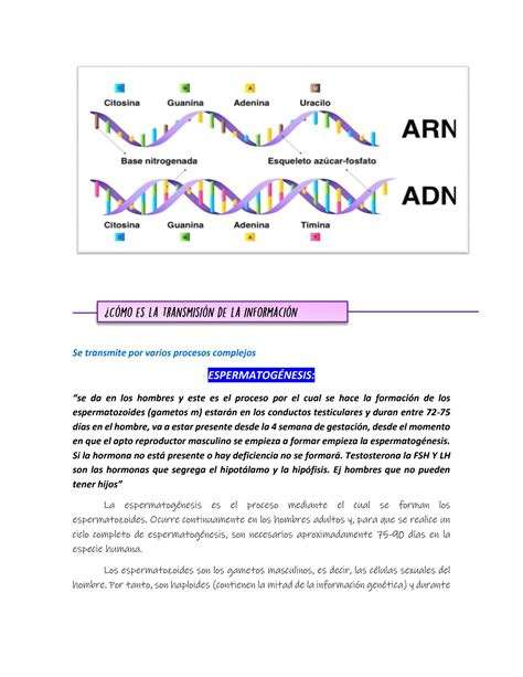 SOLUTION Genetica Y Embriologia Studypool