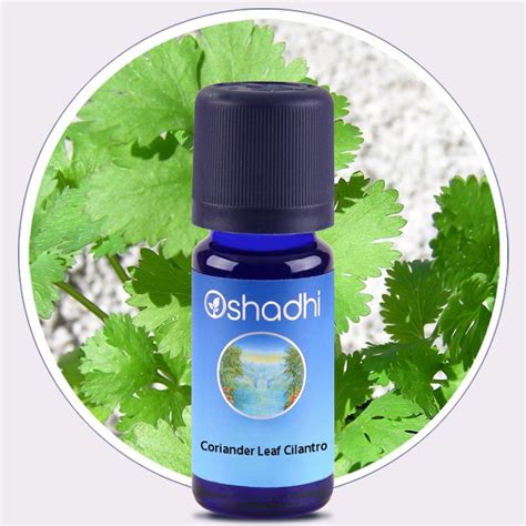 Coriander Leaf Cilantro Essential Oil Oshadhi Essential Oils