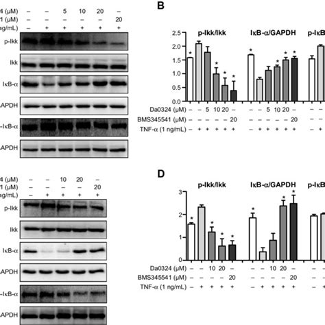 Da0324 Inhibits The Nuclear Factor κb Nf κb Activation In Gastric Download Scientific Diagram