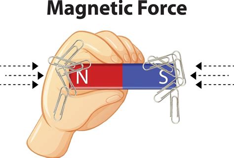 Magnetic Force with many paper clips on white background 1970219 Vector ...