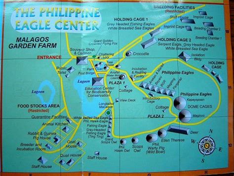 Make It Davao: Philippine Eagle Center